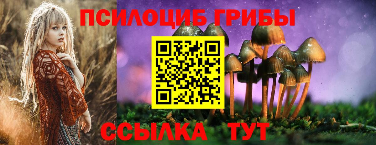 Галлюциногенные грибы Psilocybe Кохма